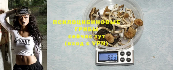 гидропоника Верея