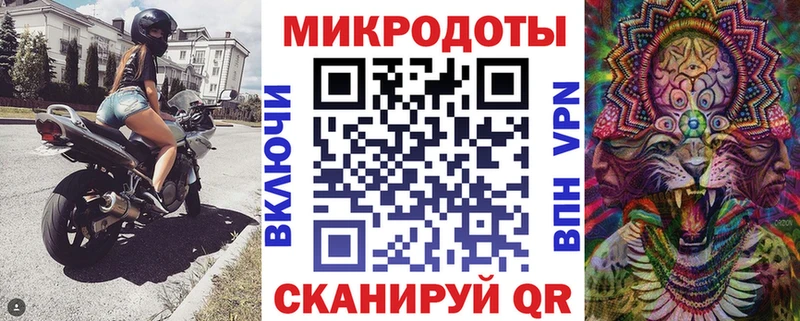Купить где Старая Русса Псилоцибиновые грибы Psilocybe