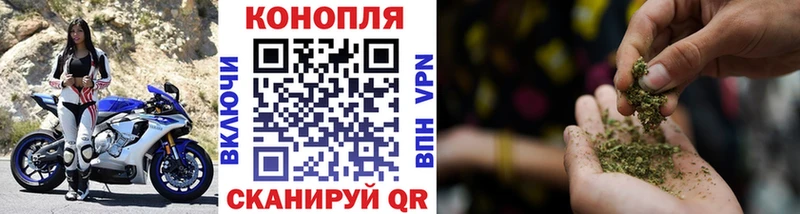 Купить  Старая Русса  Бошки марихуана OG Kush 